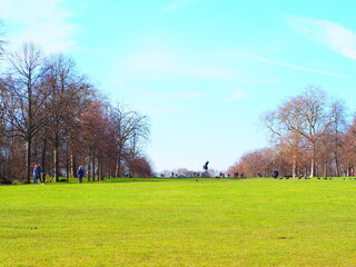 Obraz premium 広い草原と青空