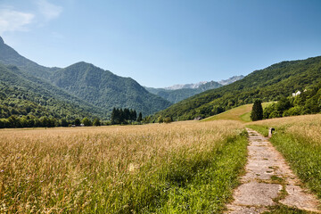 Fototapeta na wymiar Montenegro, Bosnien, Europa, Wandern, Landschaft, Panorama.
