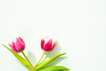 Hintergrund mit Blumen