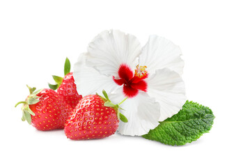 Beautiful hibiscus flower, fresh tasty strawberries and mint on white background © New Africa