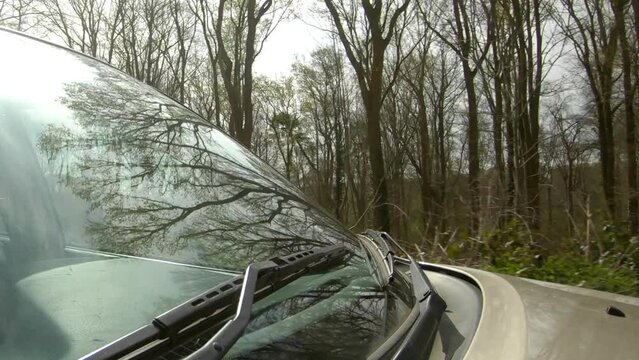 Driving through a spring woodland with reflections of the trees in the a car windscreen.