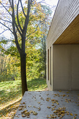 Duży taras betonowy w domu z pięknym widokiem na naturę, drzewa, las.