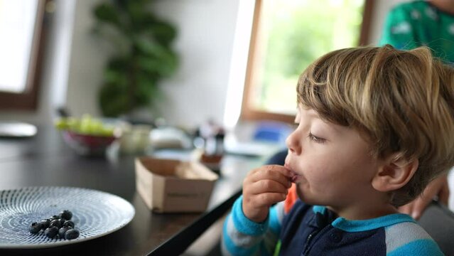 Child eating blueberry fruit from plate