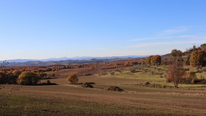 Fototapeta premium autumn in the mountains