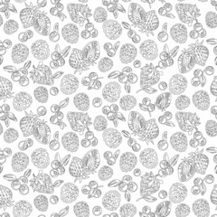Berries mix, lines pattern background, seamless. Black outline on white. doodle
