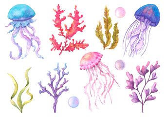 Obraz na płótnie Canvas Set with jellyfish, seaweed, carals and bubbles. Sea life painted in watercolor, isolated on a white background.