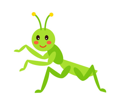 Cartoon mantis Childish Insect. Vector illustration
