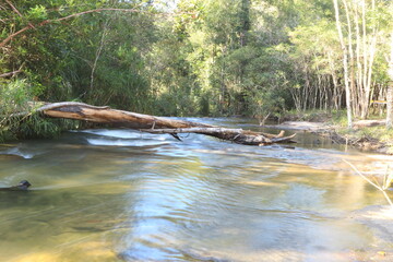 Deep forest Waterfall in Thailand.