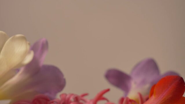 Colorful flowers turn around slowly