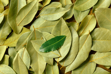 Green bay leaf on a texture of dried laurel leaves, overhead flat lay shot, a culinary background