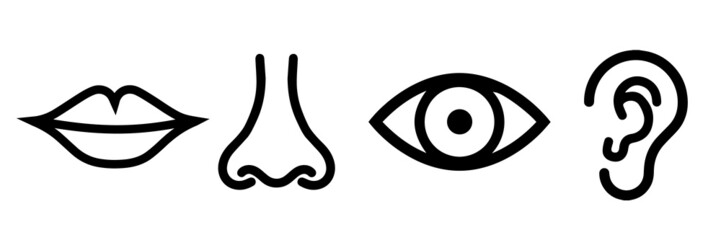 Contour image of the nose, eyes, mouth, ear isolated on white background. Vector illustration