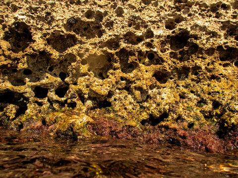 particolare, scogliera, acitrezza