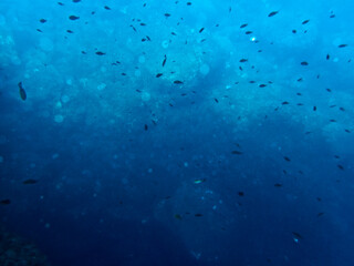 Fondale marino Acitrezza