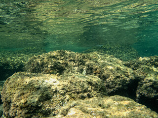 fondale marino acitrezza