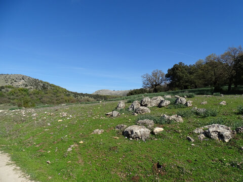Shot of feild with trees and rocks