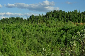 Nature is the material world of the universe, in fact — the main object of the study of natural sciences. In everyday life, the word "nature" is often used in the meaning of natural habitat.