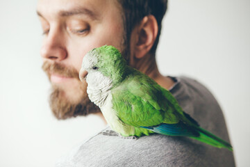 Fototapeta premium Close-up of young beard man with his pet Quaker parrot on shoulder at home. Guy is having domesticated friendly and affectionate Quaker parrot.