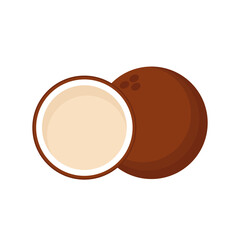 Half coconut. Coconut vector on white background.