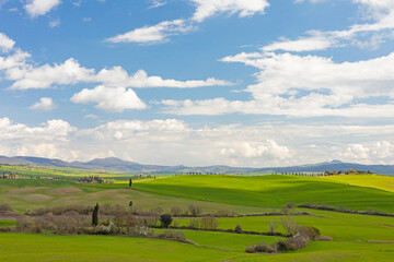 Fototapeta na wymiar tuscan landscape near Pienza in spring