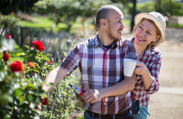 woman and man look after roses in the garden