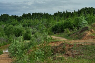 Nature is the material world of the universe, in fact — the main object of the study of natural sciences. In everyday life, the word 