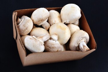 Barquette en carton de champignons de Paris en gros plan sur fond noir