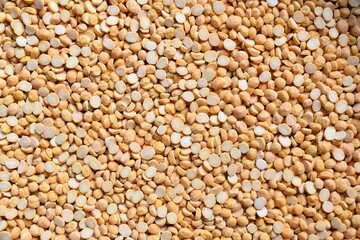 Raw split dried chickpea lentils