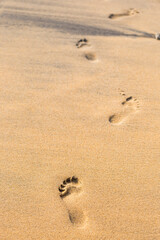 Fototapeta na wymiar Foot print on brown sand beach, nature concept, vertical style