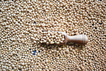 Raw whole dry Soybean legume