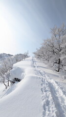 Obraz premium snow covered road