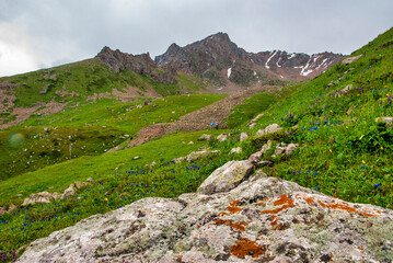 hiking in the mountains