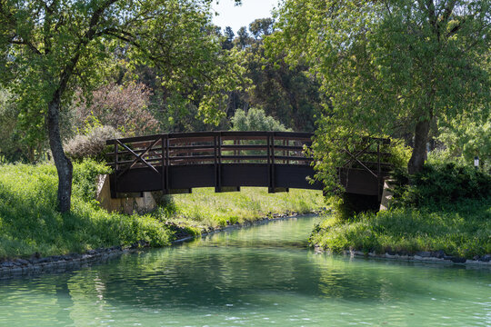 Scenic view of a wooden bridge in the Adventure Park do Jamor in Lisbon