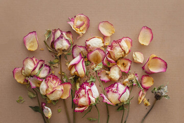 Bouquet of dry roses
