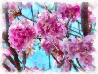 big tree full of pink flowers watercolor style illustration impressionist painting.