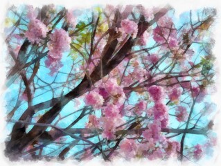 Fototapeta na wymiar big tree full of pink flowers watercolor style illustration impressionist painting.