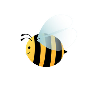 Cartoon bee vector illustration. Cute bumblebee isolated on a white background