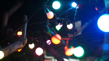 Low angle shot of outdoor string lights on tree branches