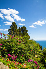 Fototapeta na wymiar Beautiful park in Taormina, Sicily island in Italy. Mediterranean sea view. 
