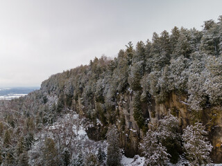 Snowy trees in Mount Nemo Conservation Area in Ontario, Canada