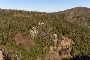 Fototapeta na wymiar View of the sandstone cliffs and the coniferous forest in the Zittau Mountains. Saxony. Germany
