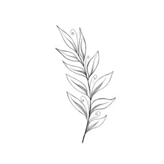 beautiful detailed sketch of plant. The idea of ​​a twig tattoo with leaves. detailed sketch of a twig with leaves