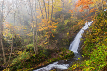宇津江四十八滝　紅葉