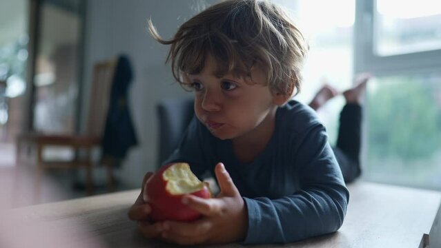 Little boy eating apple fruit child eats healthy snack