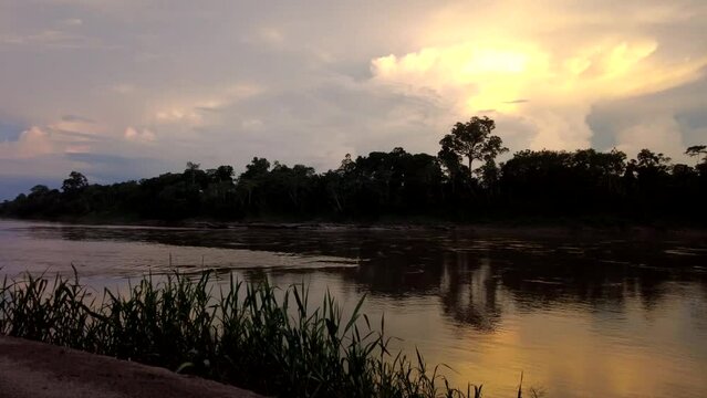 rainforest motionlapse, amazon river sunset jungle timelapse