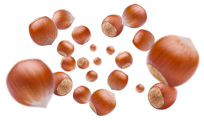 Obraz premium Flying hazelnuts, isolated on white background