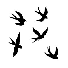 Swallows. Black silhouette on a white background. Silhouette of a swarm of swallows. Black contours of flying birds. Flying swallows. Tattoo vector illustration isolated on white background.