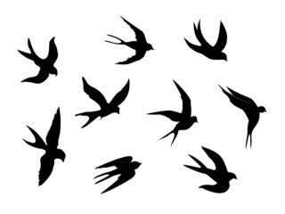 Fototapeta na wymiar Swallows. Black silhouette on a white background. Silhouette of a swarm of swallows. Black contours of flying birds. Flying swallows. Tattoo vector illustration isolated on white background.