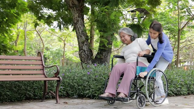 The daughter took her elderly mother in a wheelchair to get fresh air at the park in the morning. Family concept. Health care for the elderly in retirement age. Nursing care for the elderly.