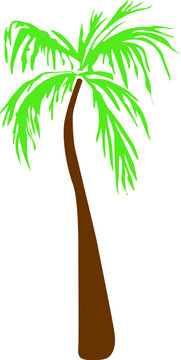 Tropics tall palm tree vector single illustration
