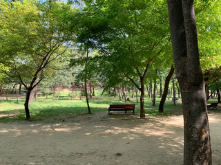 서울 삼성동 선정릉 공원, 선릉, 정릉, 봄, 자연, 꽃, 왕릉 / Seonjeongneung Park in Samseong-dong, Seoul, Seolneung, Jeongneung, Spring, Nature, Flower, Royal Tomb 